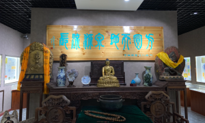 张宝舰：藏币先藏识 树高根须深