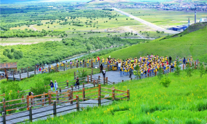 大文记者探访2021年内蒙古66个“网红打卡地”——额尔古纳湿地