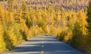 大文记者探访2021年内蒙古66个“网红打卡地”——莫尔道嘎