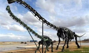 大文记者探访2021年内蒙古66个“网红打卡地”——二连浩特