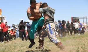 内蒙古自治区第十届少数民族传统体育运动会男儿三艺搏克项目开赛