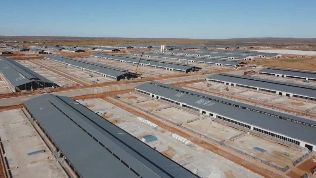 1697975760722977.jpg?x-oss-process=style/w10 640 (1).jpg?x-oss-process=style/w10