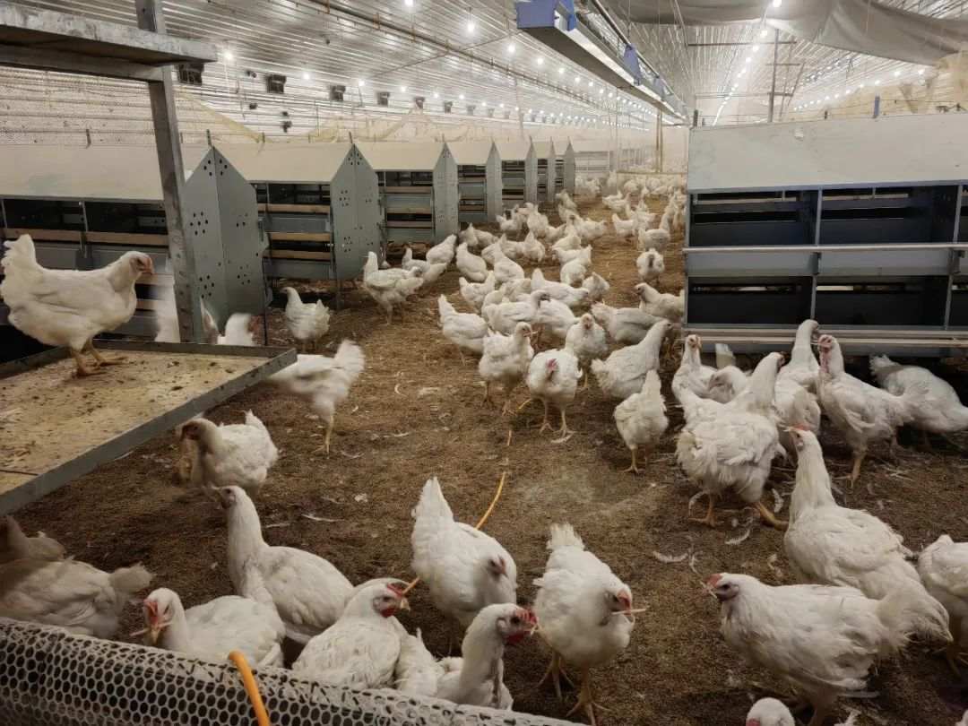 1697975804473466.jpg?x-oss-process=style/w10 640 (2).jpg?x-oss-process=style/w10