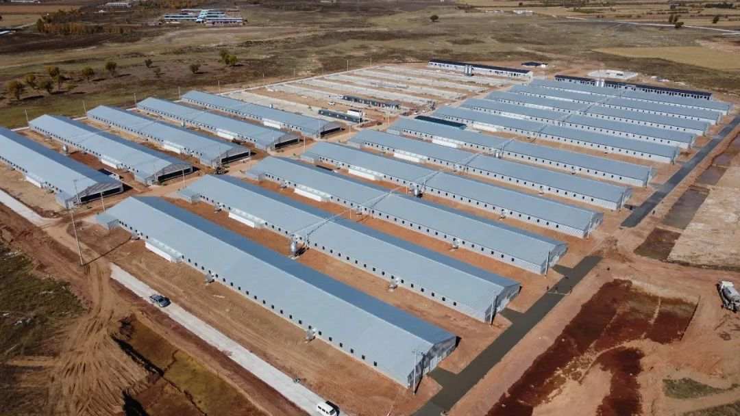 1697975838535966.jpg?x-oss-process=style/w10 640 (3).jpg?x-oss-process=style/w10